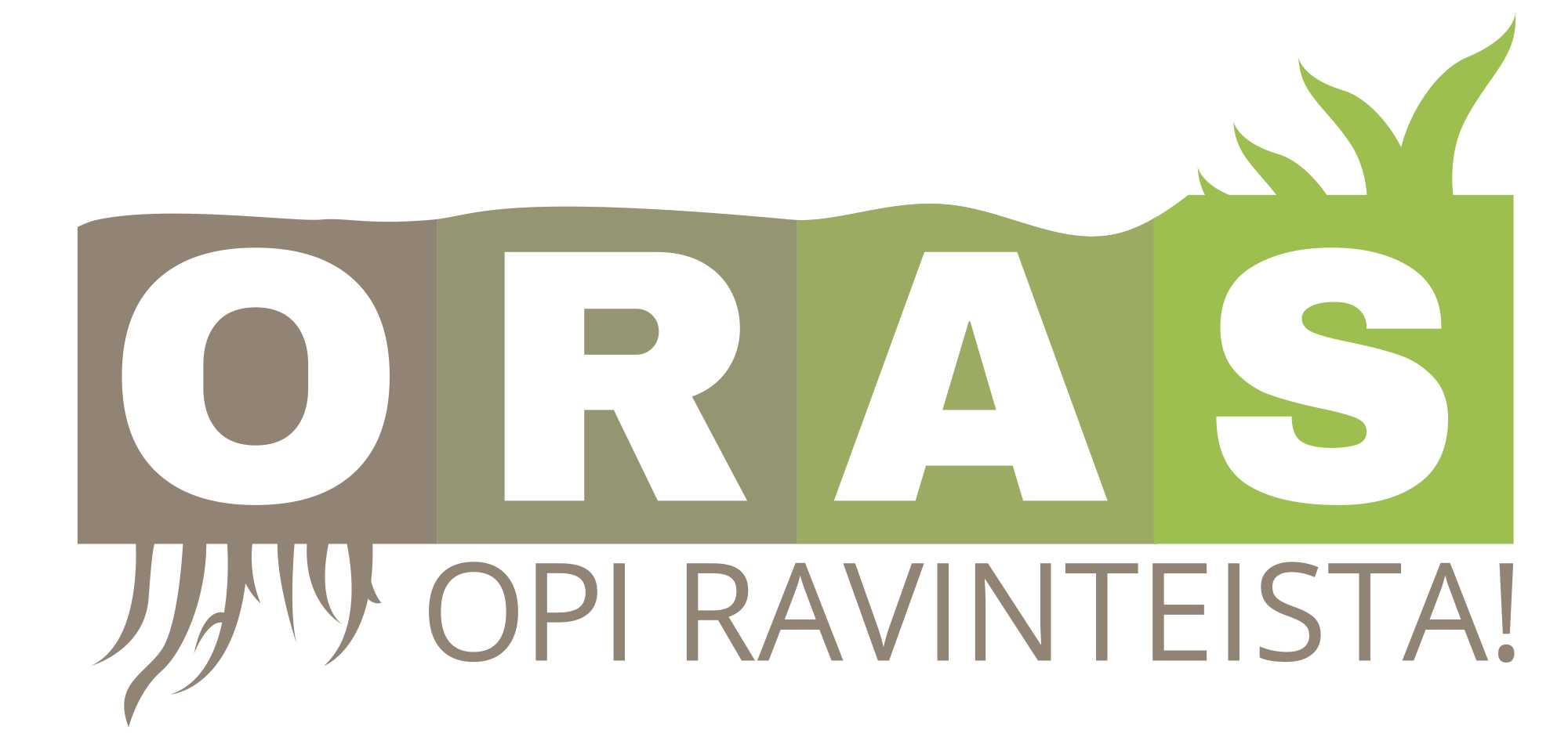 ORAS-hankkeen logo